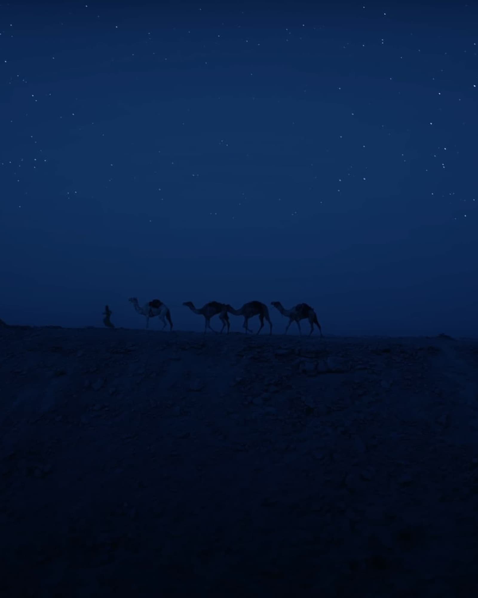 Ooredoo Qatar. Ramadan TVC. Image